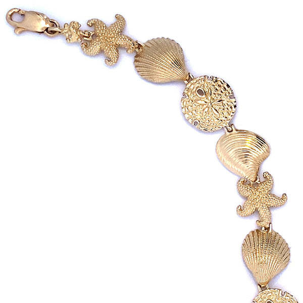 Seashell Bracelet Sealife Jewelry Collection Cedar Chest Sanibel