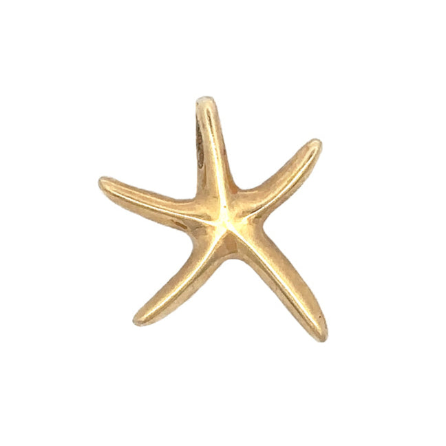 Medium Starfish Pendant, 14Kt