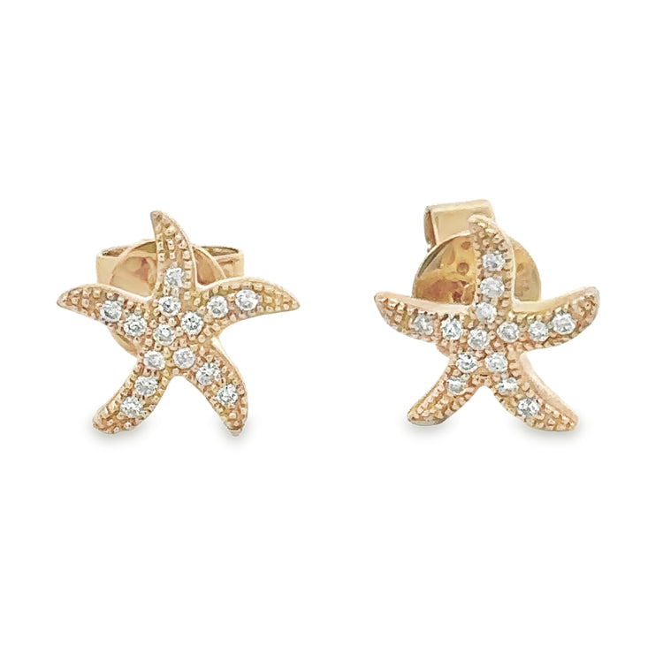 Starfish Earrings, 14Kt