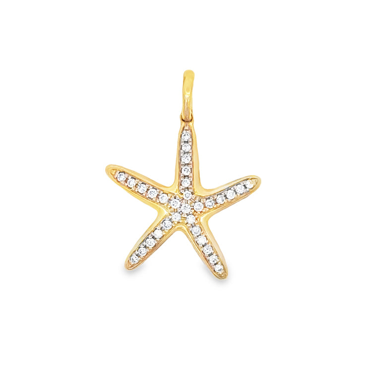 Starfish Pendant, 14Kt