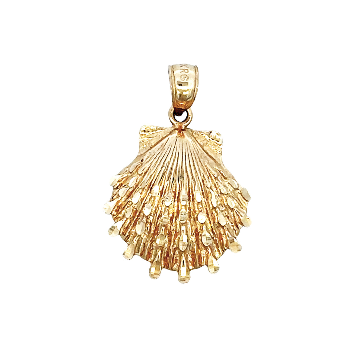 Scallop Shell Pendant, 14Kt