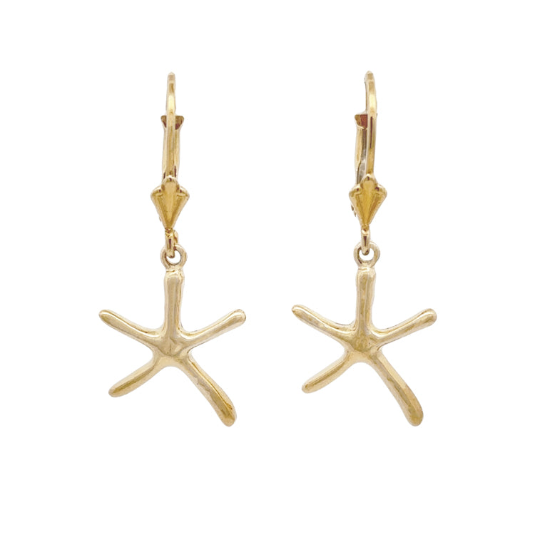 Starfish Earrings, 14Kt