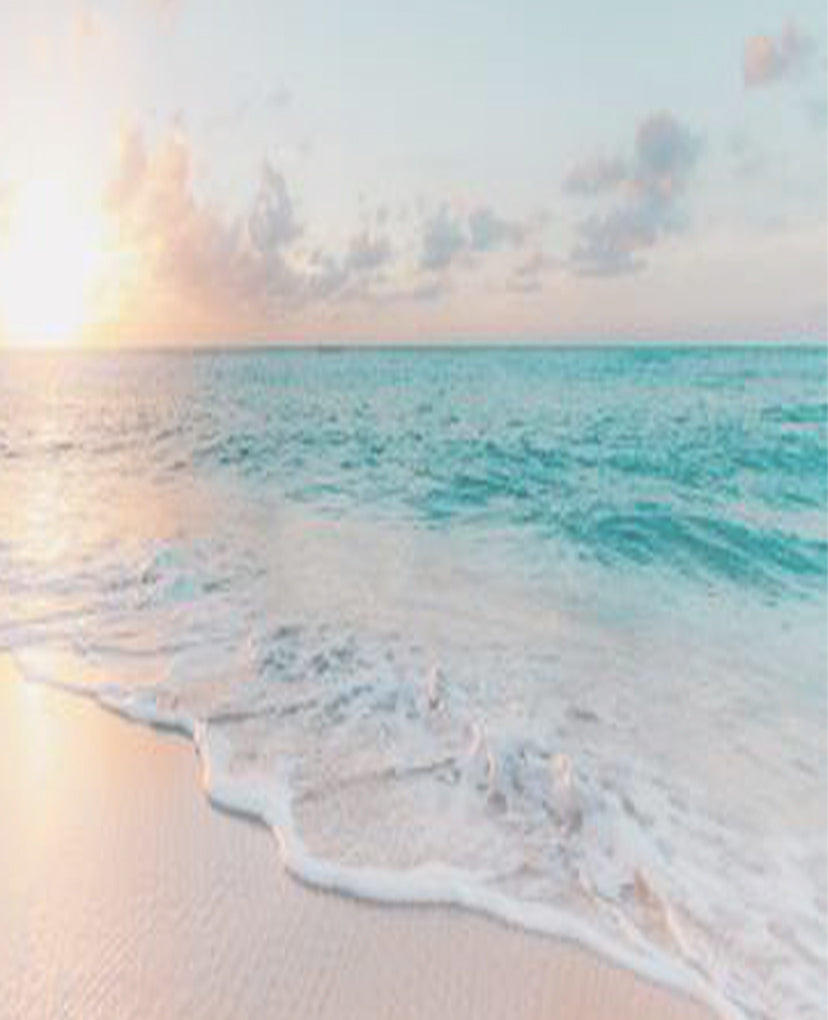 New Arrivals Latest Cedar Chest Fine Jewelry Cedar Chest Sanibel