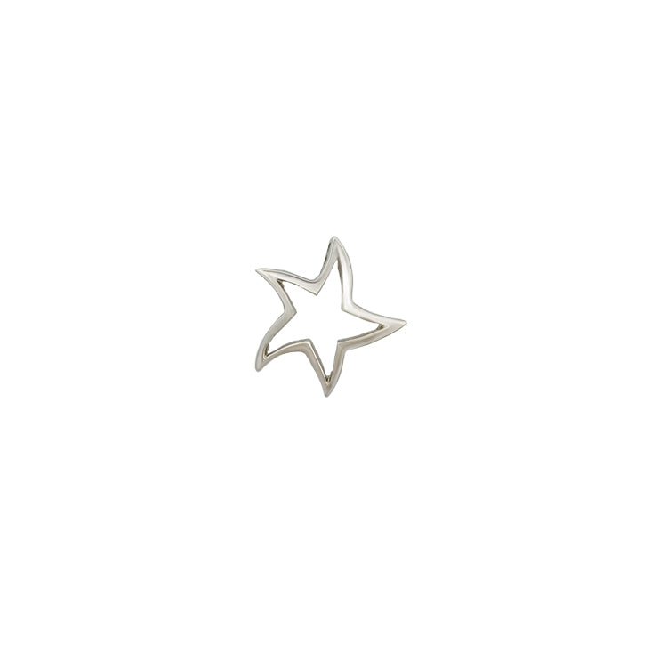 Starfish Pendant, 14Kt