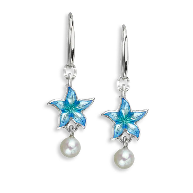 Front and Back Blue Vitreous Enamel Petite Sterling Silver Starfish on Wire earrings by Nicole Barr Jewelry. Rhodium Plated for easy care. Dimensions: 10mm.