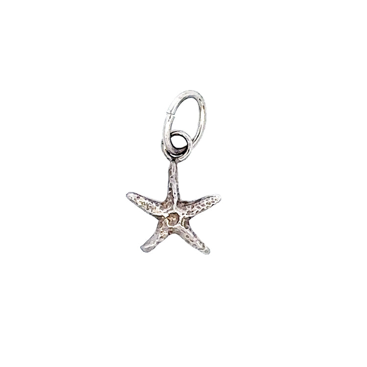 Starfish Pendant, 14Kt