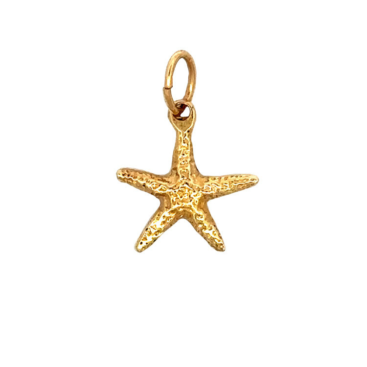 Starfish Pendant, 14Kt