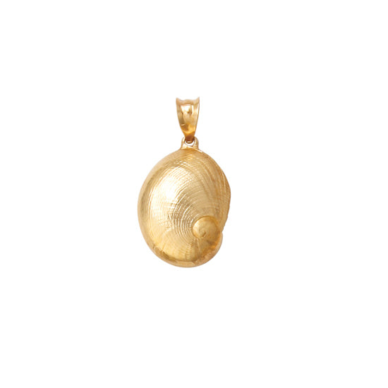 Baby&#39;s Ear Shell Pendant, Medium, 14Kt
