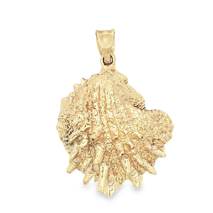 Spiny Jewel Box Shell Pendant, 14Kt