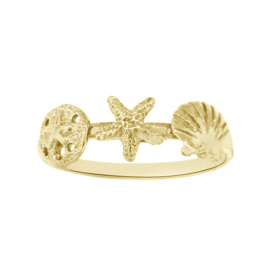 14Kt Yellow Gold Three Shell Stack Ring, Scallop Starfish and Sand Dollar. An Original Cedar Chest Design. Stock size 7.5, 6mm shells.