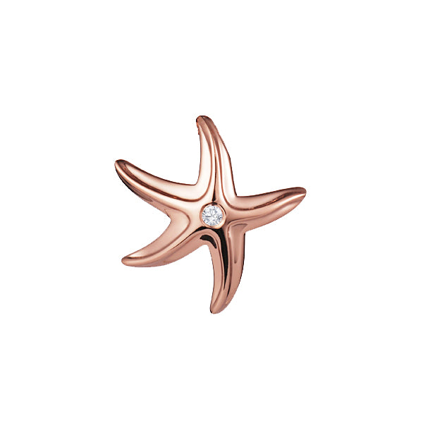 Starfish Pendant, 14Kt