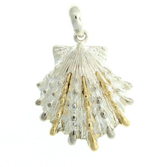 Lion&#39;s Paw Scallop Pendant