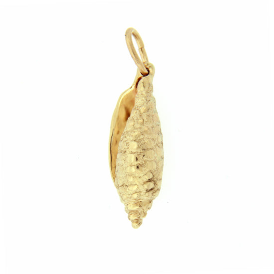 Z2-732 3-D Junonia Shell charm/pendant