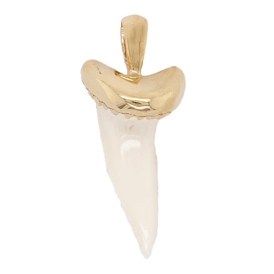 Shark Tooth Pendant &quot;Jaws&quot;