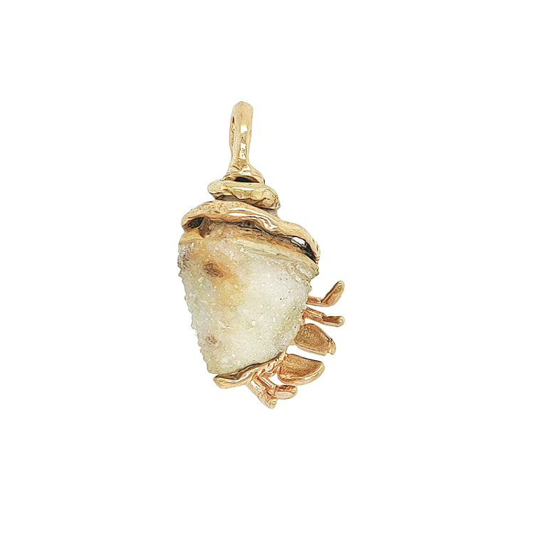 Druzy Shell Hermit Crab Pendant