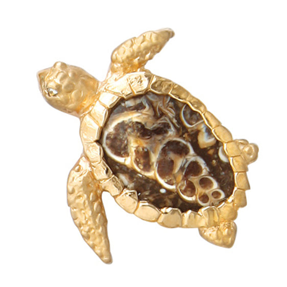 Turtle with Fossil Turritella Agate Shell